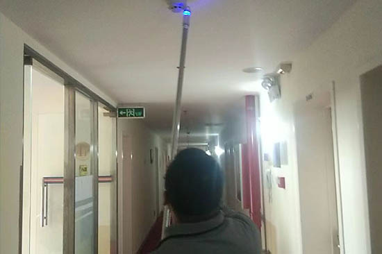 �����z�y(c��)